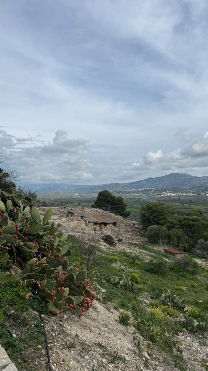 Prickly pears in the foreground, the ruins of Phaistos and the plain beyond